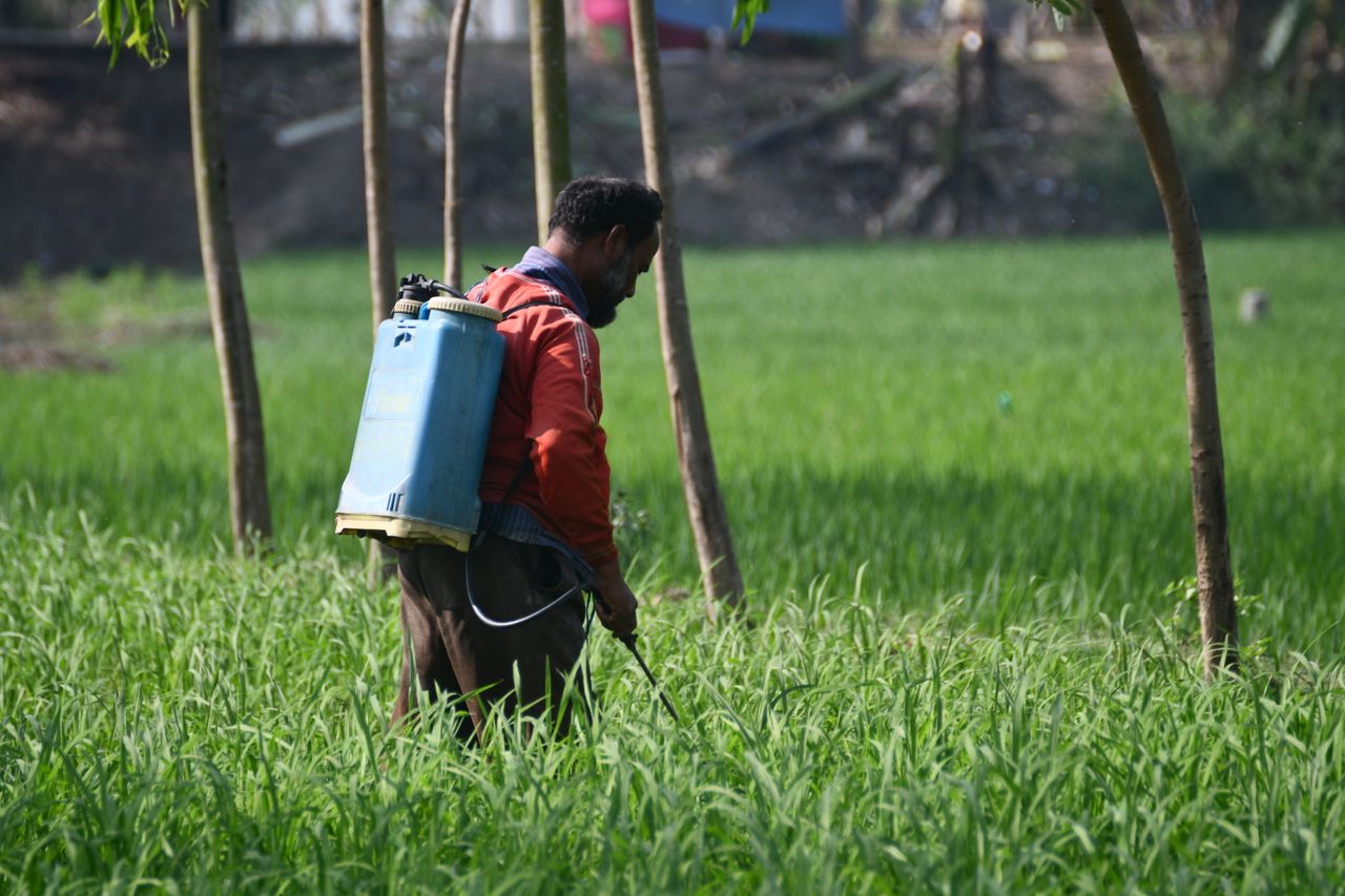 our-experience A farmer using a backpack sprayer to treat crops in a field in Rangpur, Bangladesh.